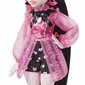 Lėlė su aksesuarų rinkiniu Monster High Core Draculaura kaina ir informacija | Žaislai mergaitėms | pigu.lt