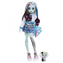 Кукла с набором аксессуаров Monster High Core Frankie цена и информация | Игрушки для девочек | pigu.lt