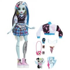 Lėlė su aksesuarų rinkiniu Monster High Core Frankie kaina ir informacija | Monster High Vaikams ir kūdikiams | pigu.lt