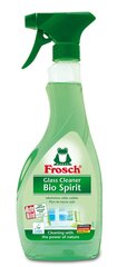 Stiklų valiklis Frosch 500 ml kaina ir informacija | Valikliai | pigu.lt