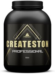 Peak Createston Professional 1570 g kaina ir informacija | Kiti papildai ir preparatai | pigu.lt