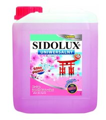 Sidolux universalus valiklis, 5 l kaina ir informacija | Valikliai | pigu.lt