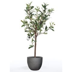 Предмет декоративный Olive tree 54933 цена и информация | Искусственные цветы | pigu.lt