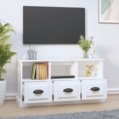 vidaXL Televizoriaus spintelė, balta, 100x35x50cm, apdirbta mediena kaina ir informacija | TV staliukai | pigu.lt