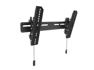 Multibrackets MB-6560 OLED Настенное ТВ крепление 32-65" / 50kg цена и информация | Кронштейны и крепления для телевизоров | pigu.lt