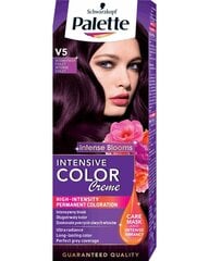 Palette ICC V5 Intensvus Purple, 5 упаковочный набор цена и информация | Краска для волос | pigu.lt