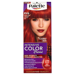 Plaukų dažai Palette ICC FR RV6 skaisčiai šviesus, 5 vnt. kaina ir informacija | Plaukų dažai | pigu.lt