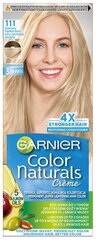 Plaukų dažai Garnier Color Naturals L111 labai šviesi, 3 vnt. kaina ir informacija | Plaukų dažai | pigu.lt