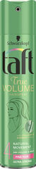 Plaukų lakas Taft Volume, 5 x 250 ml цена и информация | Средства для укладки волос | pigu.lt