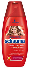 Schaum Color Glanz Shampoo для окрашенных волос 250 мл, 6 упаковочных наборов цена и информация | Шампуни | pigu.lt