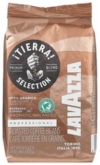 Кофе в зернах Lavazza Tierra Selection, 1кг цена и информация | Lavazza Продукты питания | pigu.lt