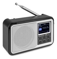 Портативное радио DAB+ Audizio Parma серебристое цена и информация | Радиоприемники и будильники | pigu.lt