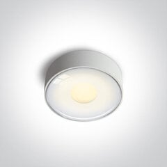 OneLight lubinis šviestuvas 67484/W/W цена и информация | Потолочные светильники | pigu.lt