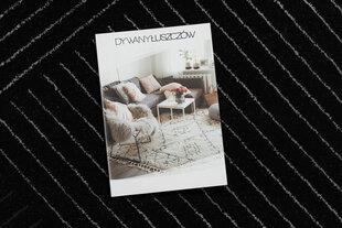 ковер EMERALD эксклюзивный A0084 гламур, стильный, линии, геометричес черный / бряный цена и информация | Ковры | pigu.lt
