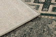 Rugsx kilimas Polonia Ashan 235x170 cm kaina ir informacija | Kilimai | pigu.lt