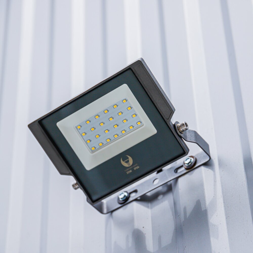 Prožektorius LED Aspire Forever Light 10W 6000K,pilkas kaina ir informacija | Lauko šviestuvai | pigu.lt