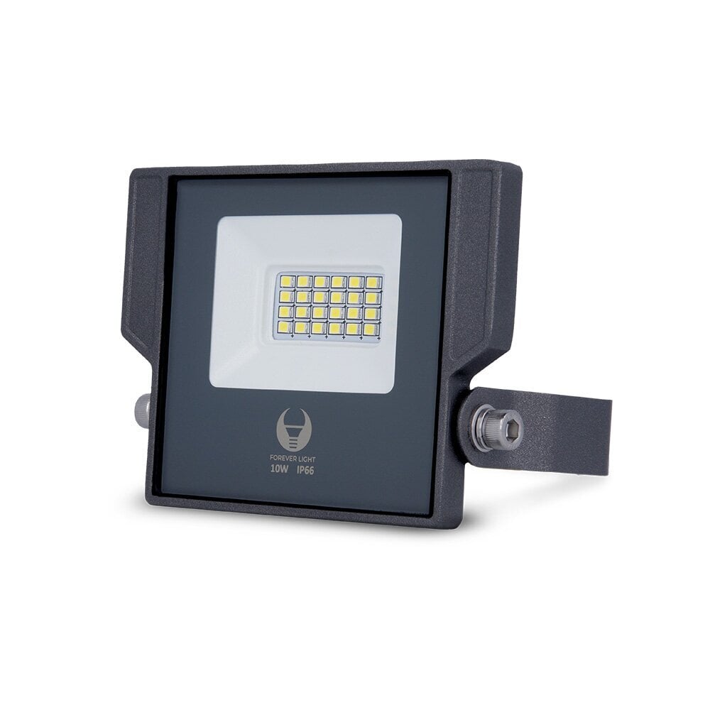 Prožektorius LED Aspire Forever Light 10W 6000K,pilkas цена и информация | Lauko šviestuvai | pigu.lt