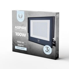 Forever Aspire Комнатный & Уличный IP66 Алюминевый LED Прожектор 100W 11000 Lumens 6000K Графитный цена и информация | Уличные светильники | pigu.lt