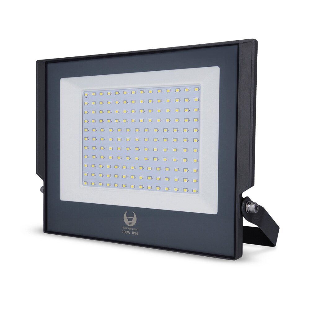 Prožektorius LED Aspire Forever Light 100W 6000K, pilkas kaina ir informacija | Lauko šviestuvai | pigu.lt
