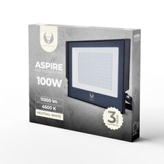 Prožektorius LED ASPIRE ForeverLight 100W 4500K, pilkas kaina ir informacija | Lauko šviestuvai | pigu.lt