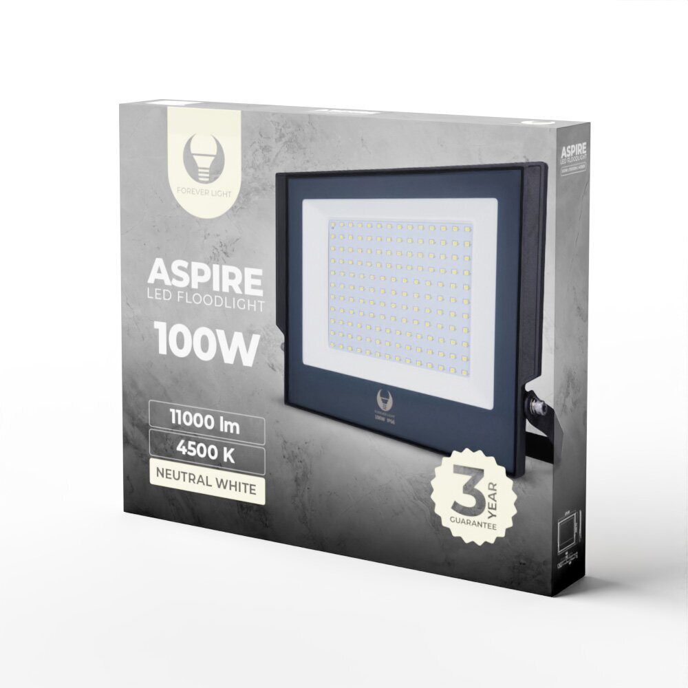 Prožektorius LED ASPIRE ForeverLight 100W 4500K, pilkas цена и информация | Lauko šviestuvai | pigu.lt