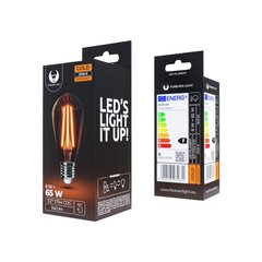 Forever Light led lemputė E27 ST64 8W 230V RTV0100021 цена и информация | Электрические лампы | pigu.lt