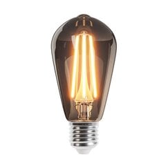 LED Bulb Filament E27 ST64 8W 230V 3000K 1020lm COG clear Forever Light цена и информация | Электрические лампы | pigu.lt