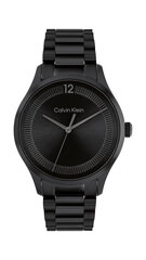 Calvin Klein CK Iconic unisex часы цена и информация | Женские часы | pigu.lt