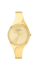 Calvin Klein Charming женские часы цена и информация | Женские часы | pigu.lt
