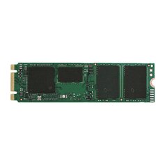 Твердотельный накопитель Solidigm (Intel) S4520 240 ГБ SATA M.2 2280 SSDSCKKB240GZ01 (до 3 DWPD) цена и информация | Внутренние жёсткие диски (HDD, SSD, Hybrid) | pigu.lt