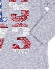 ToonToy megztinis berniukams, pilkas kaina ir informacija | Megztiniai, bluzonai, švarkai berniukams | pigu.lt