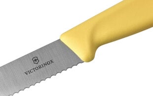 Victorinox peilis, 11 cm kaina ir informacija | Peiliai ir jų priedai | pigu.lt