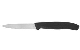 Victorinox peilis, 8 cm kaina ir informacija | Peiliai ir jų priedai | pigu.lt