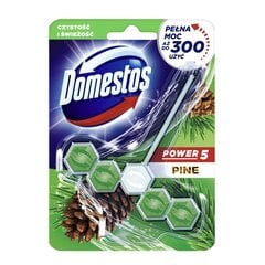 Domestos Power valiklis gaiviklis, 55g kaina ir informacija | Domestos Virtuvės, buities, apyvokos prekės | pigu.lt