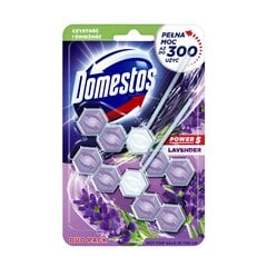 Domestos duo valiklis gaiviklis kaina ir informacija | Valikliai | pigu.lt