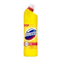 Domestos Citrus tualeto valiklis, 1250ml, 6 vnt kaina ir informacija | Valikliai | pigu.lt