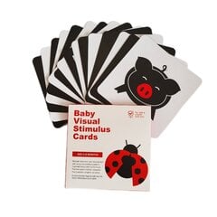 Kortelės su paveiksliukai kūdikiams Cards, 3-6 mėn. kaina ir informacija | Žaislai kūdikiams | pigu.lt