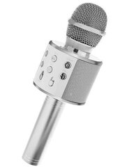 Микрофон для караоке с эффектами изменения голоса цена и информация | Микрофоны | pigu.lt