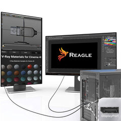 Reagle HDMI DP DisplayPort 4K, 3m kaina ir informacija | Kabeliai ir laidai | pigu.lt