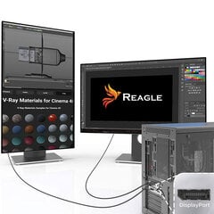 Reagle HDMI DP DisplayPort 4K, 1m kaina ir informacija | Kabeliai ir laidai | pigu.lt
