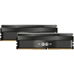 Silicon Power XPower Zenith (SP032GXLZU320BDC) цена и информация | Оперативная память (RAM) | pigu.lt