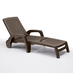 Paplūdimio kėdė Miami, ruda kaina ir informacija | Lauko kėdės, foteliai, pufai | pigu.lt