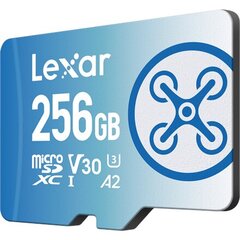 Lexar Fly LMSFLYX256G-BNNNG цена и информация | Lexar Мобильные телефоны, Фото и Видео | pigu.lt