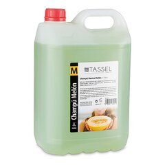 Šampūnas Eurostil Tassel Champu Melon, 5 l kaina ir informacija | Šampūnai | pigu.lt