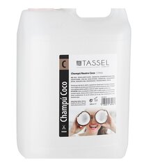 Šampūnas Eurostil Tassel Champu Coco, 5 l kaina ir informacija | Šampūnai | pigu.lt