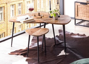 Кофейный столик Diivanilaud Sidney, коричневый/черный цена и информация | Журнальные столы | pigu.lt