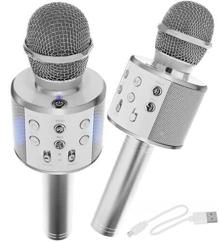 Karaokė mikrofonas - kolonėlė su balso keitimo efektais, sidabrinis kaina ir informacija | Lavinamieji žaislai | pigu.lt