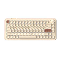 Mechanical keyboard Dareu Z82 Bluetooth + 2.4G (brown) цена и информация | Клавиатуры | pigu.lt