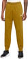 Nike vyriškos sportinės kelnės M Nsw Club Jggr Ft Yellow BV2679 716, geltonnos цена и информация | Sportinė apranga vyrams | pigu.lt
