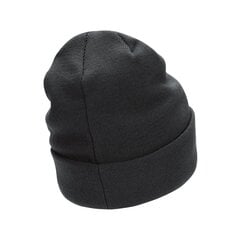 Nike kepurėlė PEAK BEANIE SC MTSWSH L, tamsiai pilka kaina ir informacija | Kepurės moterims | pigu.lt